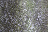 Ringing Hill fibreglass roof work